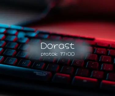 Naše aktivity