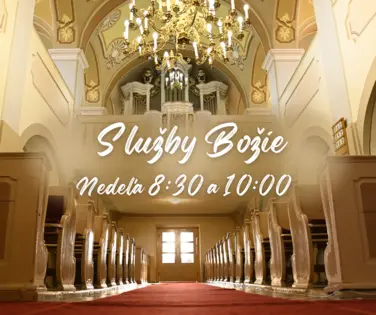 Naše aktivity